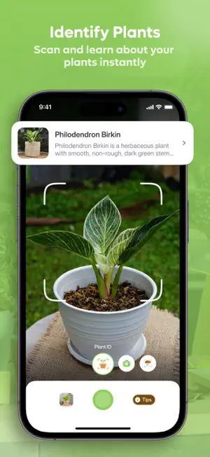Plant ID: Plant Identifier App screenshot 3