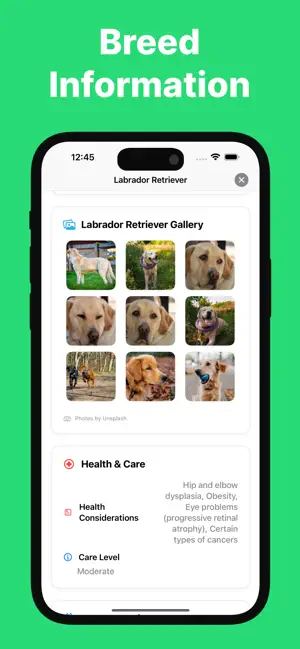 Dog Scanner: Puppy Identifier screenshot 2