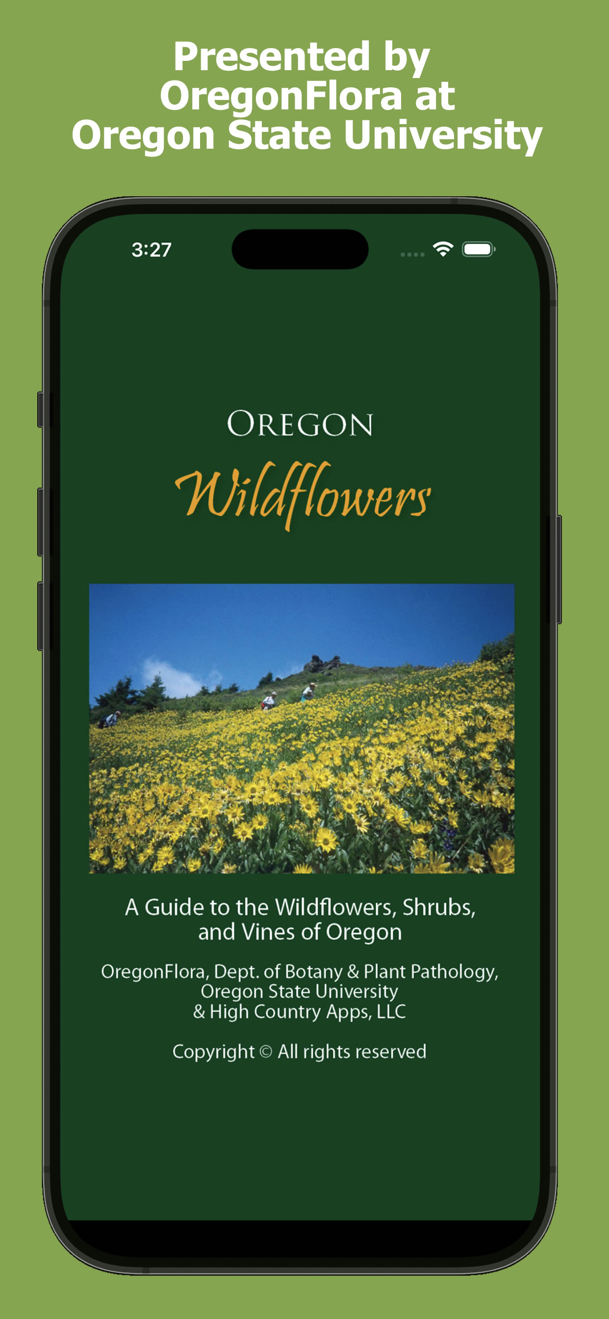Oregon Wildflowers