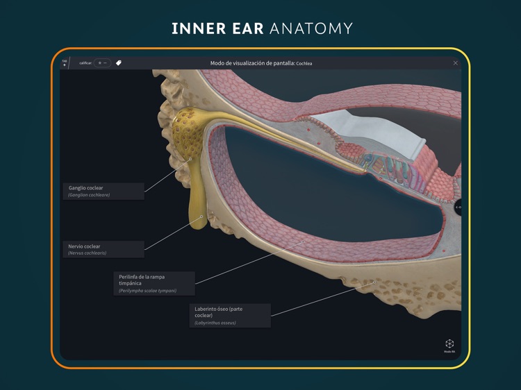 Complete Anatomy for iPad screenshot-8