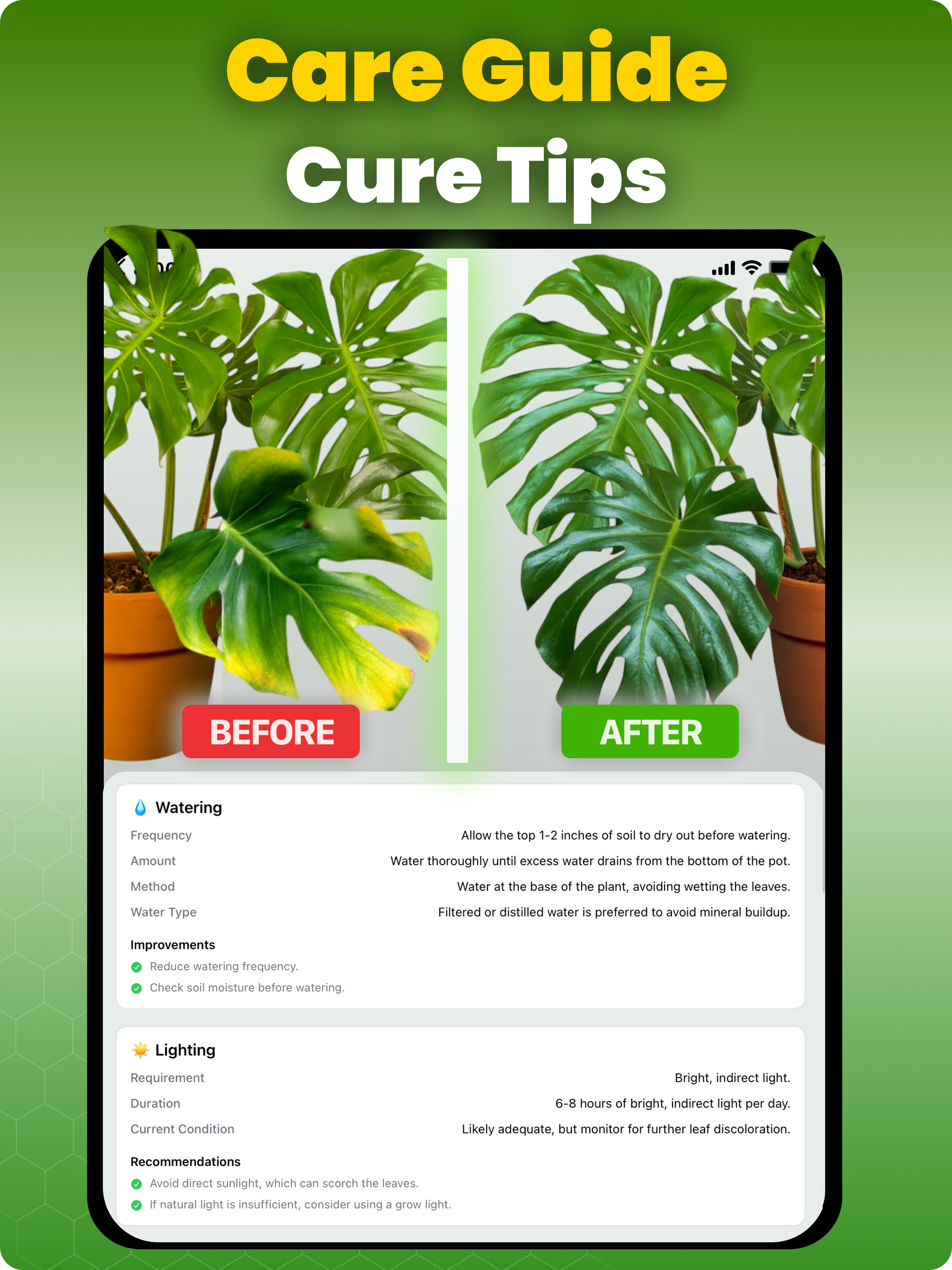 Identify Plants - Floram screenshot 8