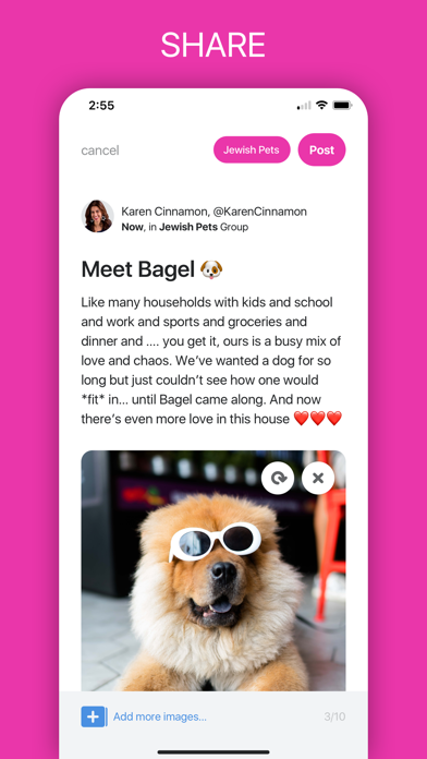 Smashing Life Jewish community iPhone screenshot 3 - Social Networking app