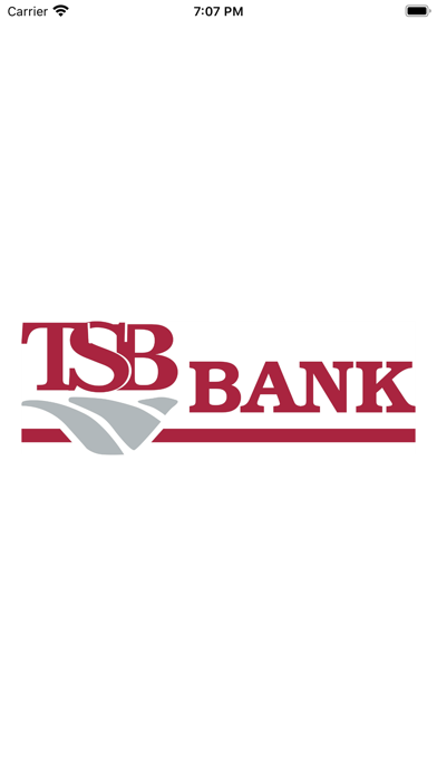 TSB Financial Screenshot