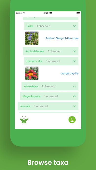 Naturify Lite Screenshot