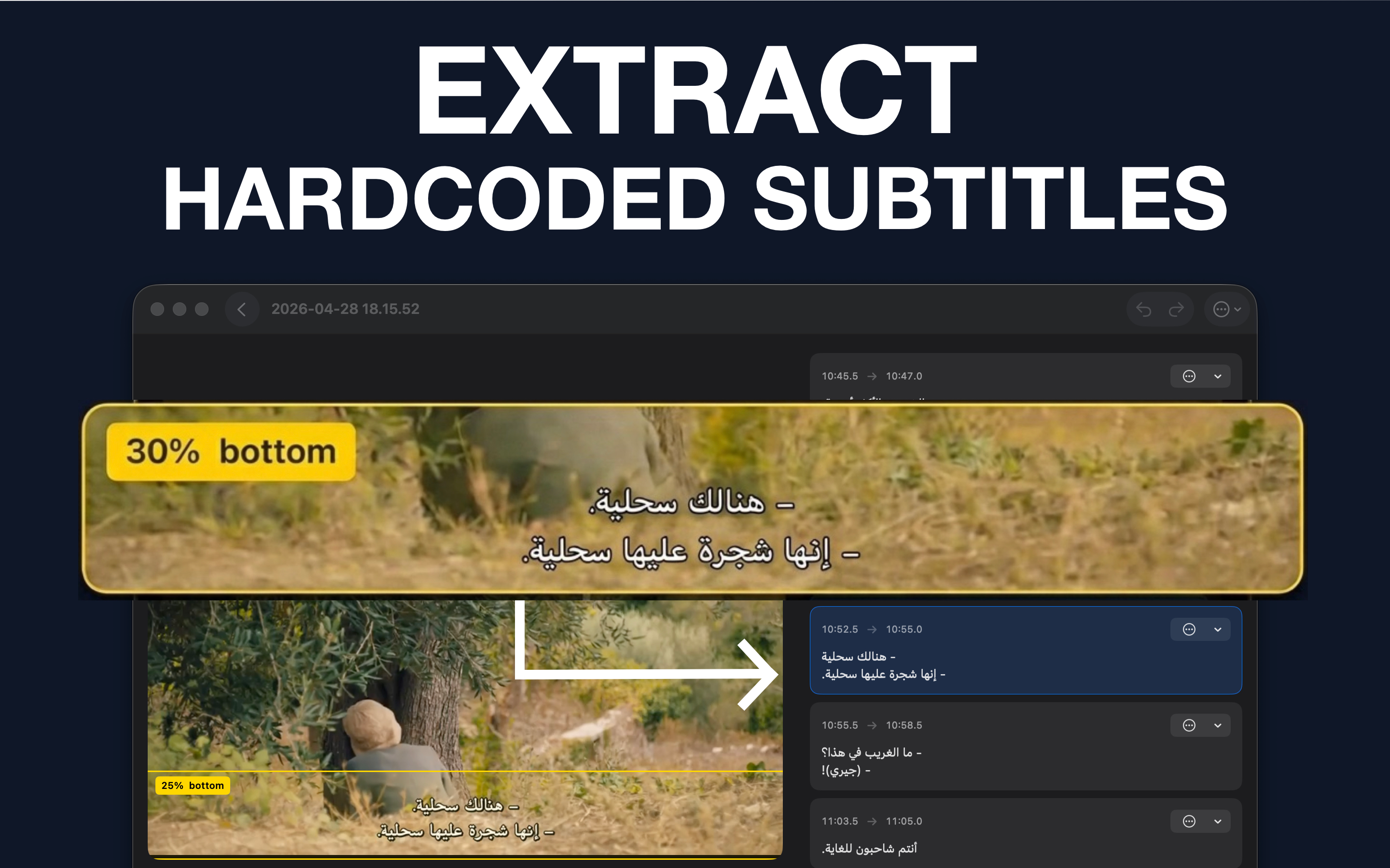 SubOut - Subtitle Extractor