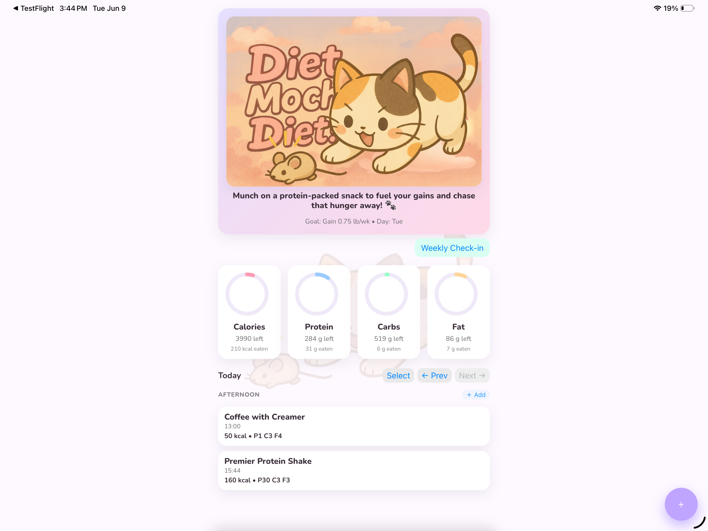 Diet Mochi, Diet!!! screenshot 4