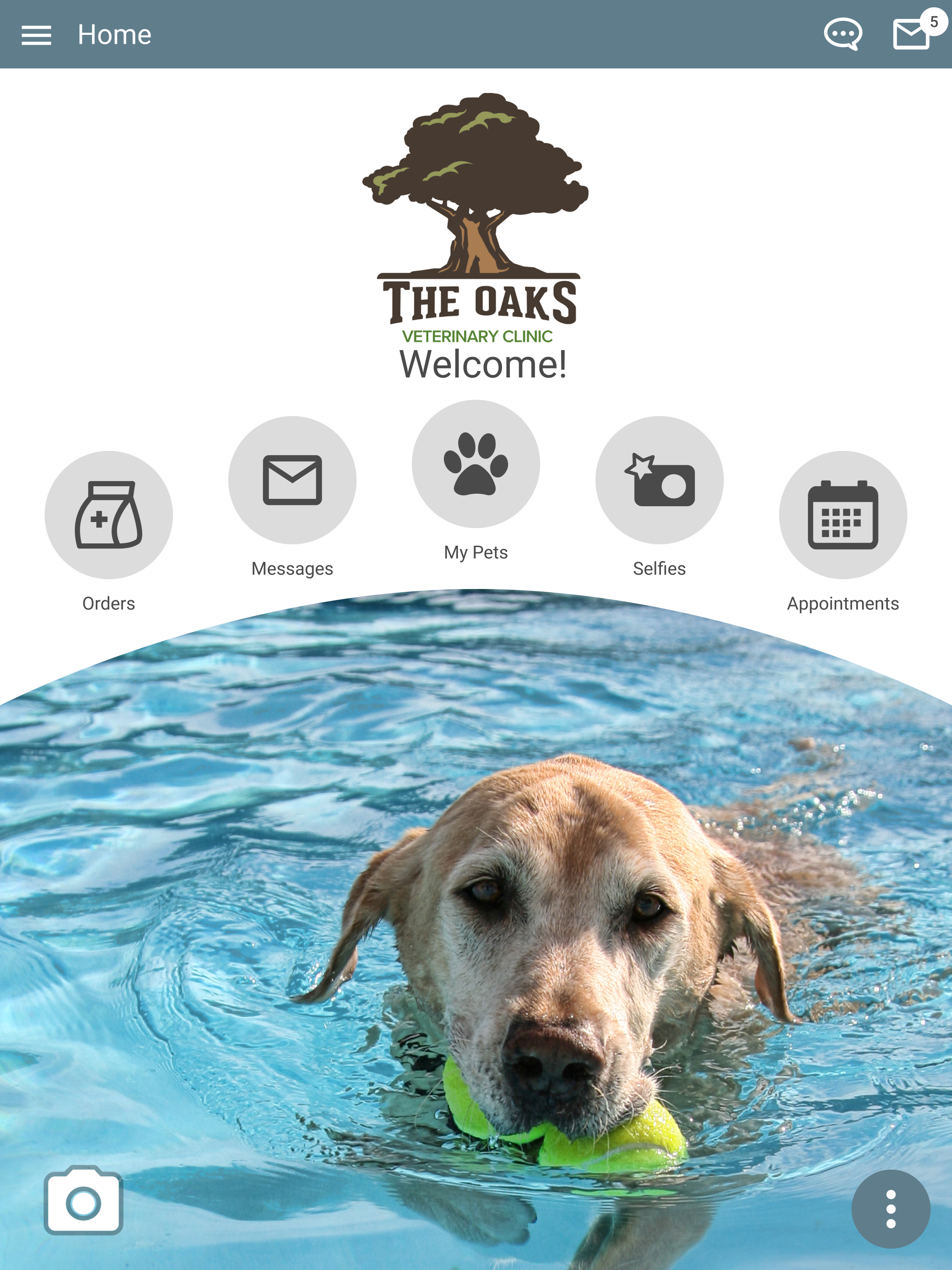 The Oaks Vet TX screenshot 11