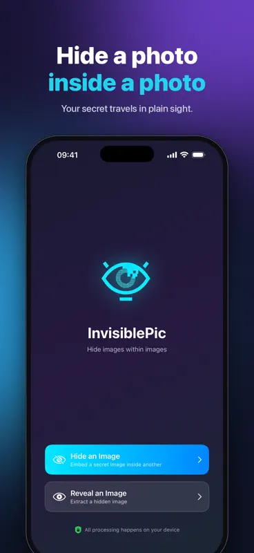 InvisiblePic - Steganography screenshot 1 of 5