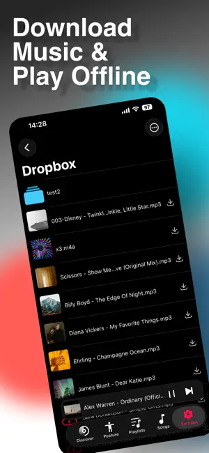 PoseMusic-Offline Music Player screenshot 1
