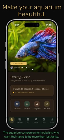 FishRoom screenshot