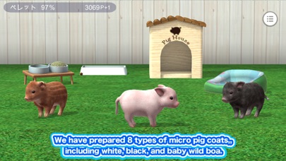 My micro pig Screenshot