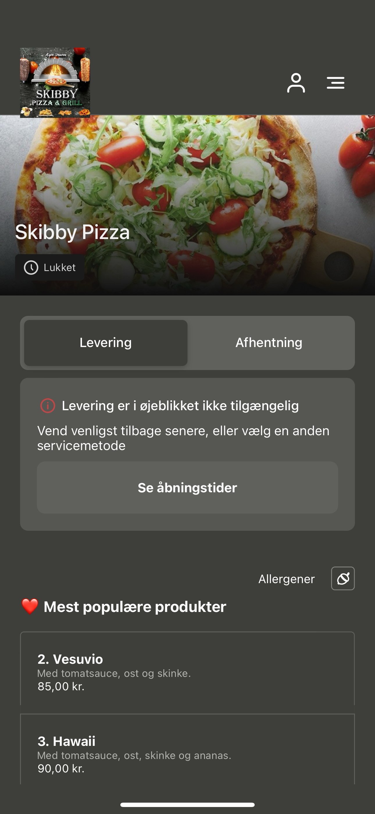 Skibby Pizza