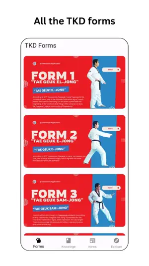 Taekwondo Academy screenshot 4