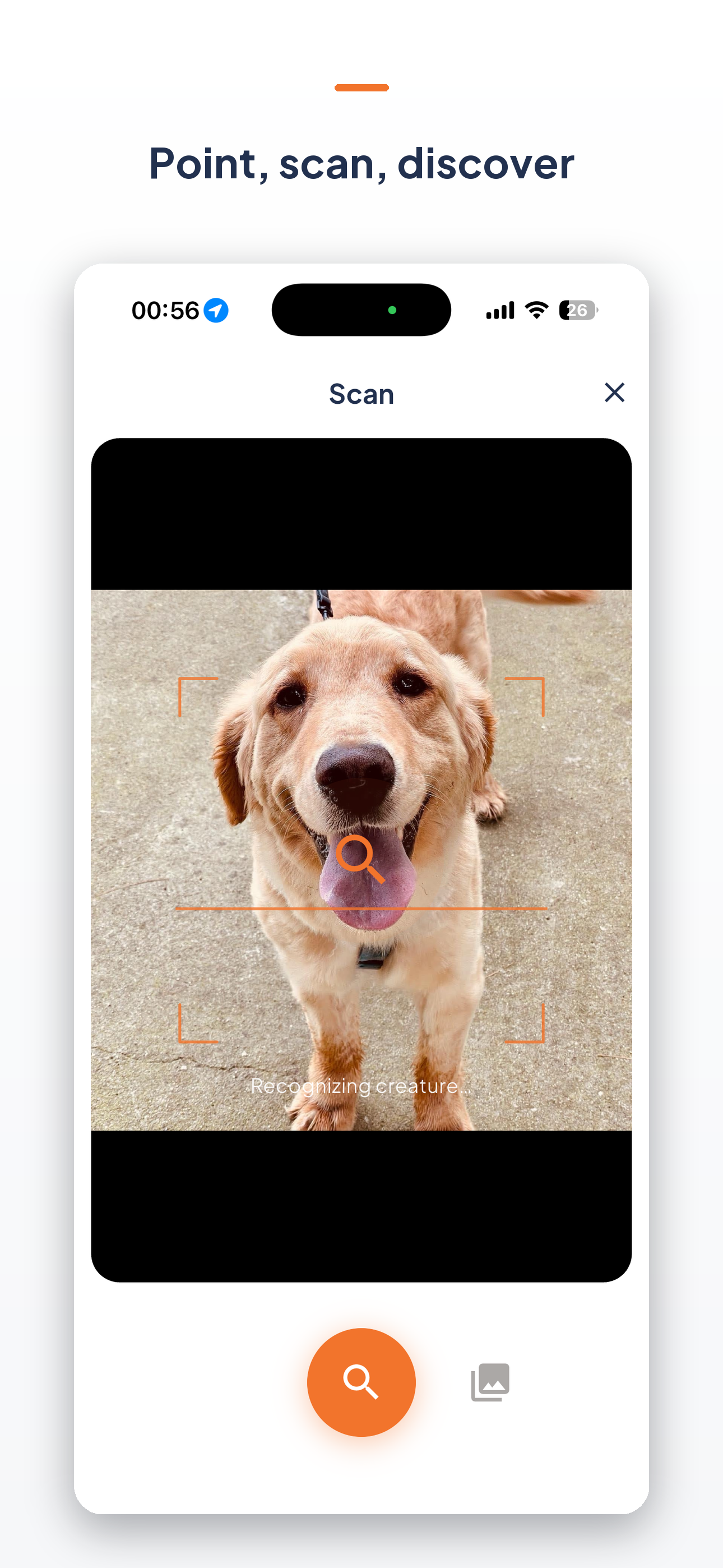 creatureX – Catch & Collect screenshot 3
