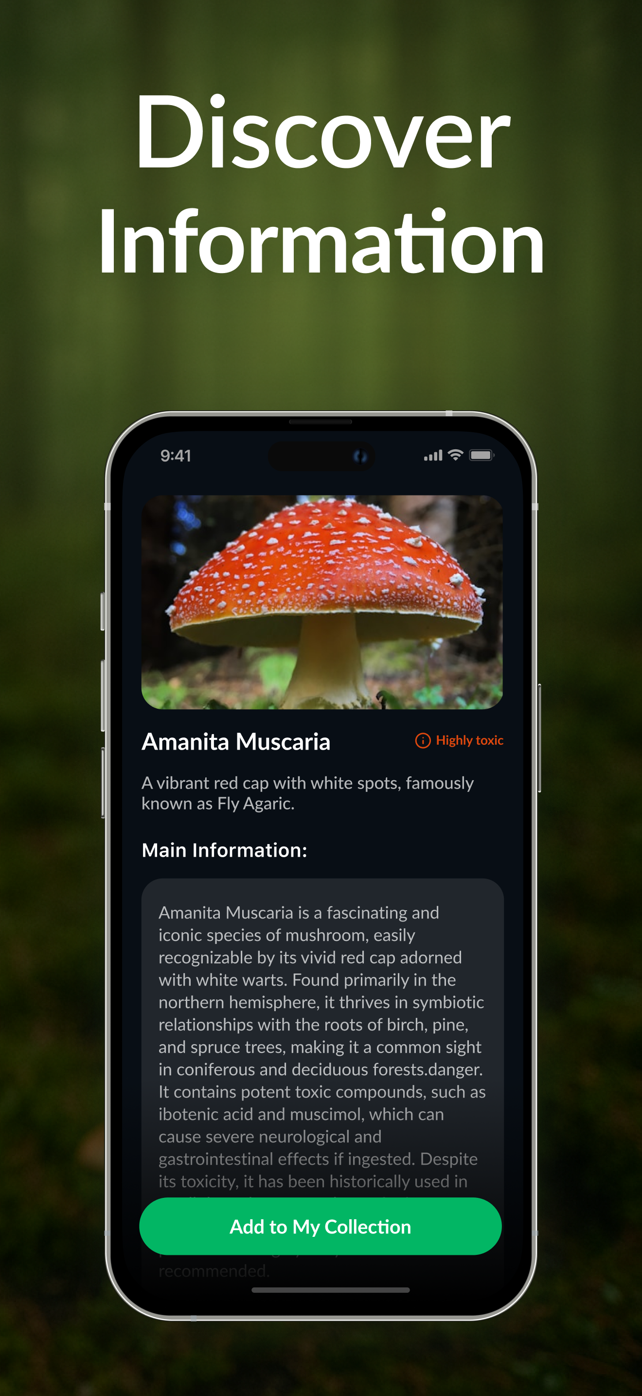 Mushroom Identifier・Fungi ID screenshot 3