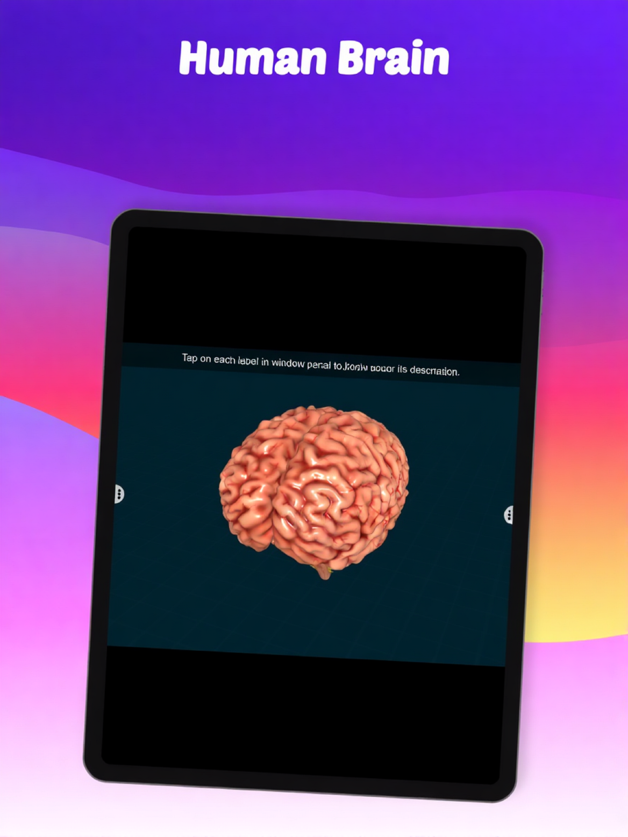 Human Brain by EduTech Era screenshot 8