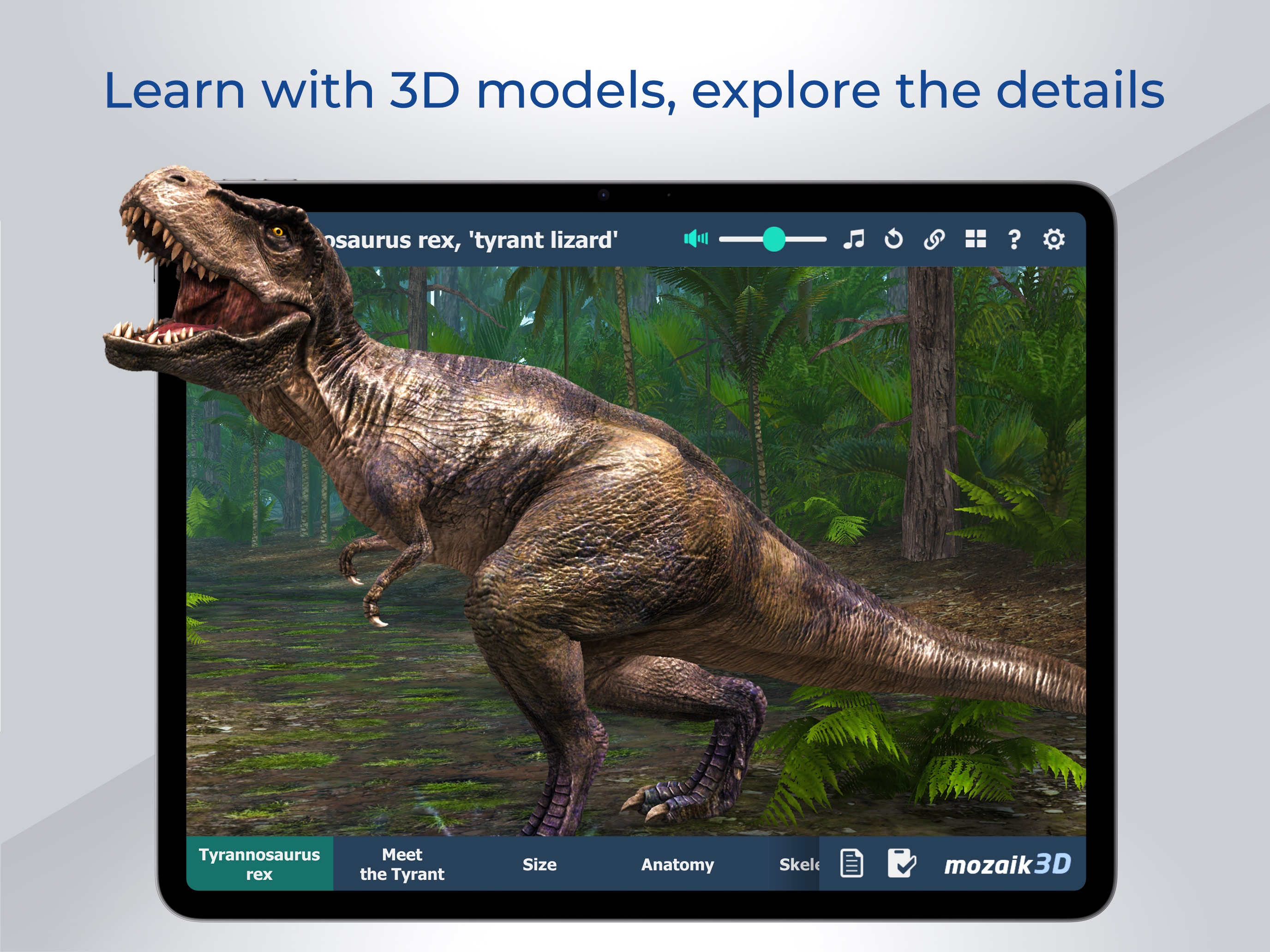 mozaik3D - Explore & Learn screenshot 6