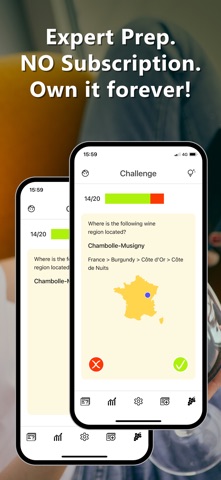葡萄酒教练：WSET & 侍酒师 screenshot