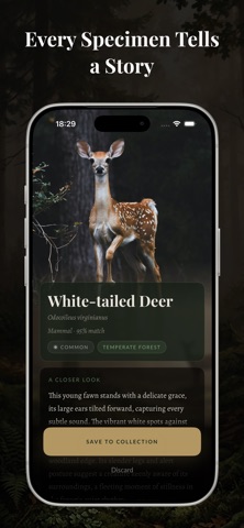 Museum of Attention screenshot