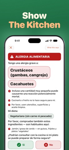 Flunqero: AI Travel Translator screenshot