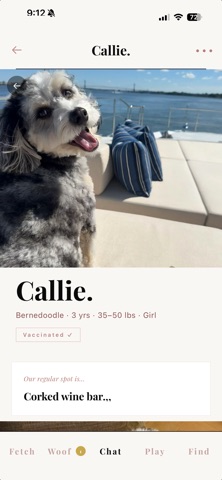Dog Date Afternoon Screenshot 8 of 8