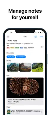 RedApp Browser screenshot 3