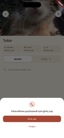 Tekir | Cats of Istanbul iPhone screenshot