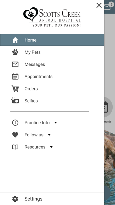 Scotts Creek Animal Hospital Screenshot