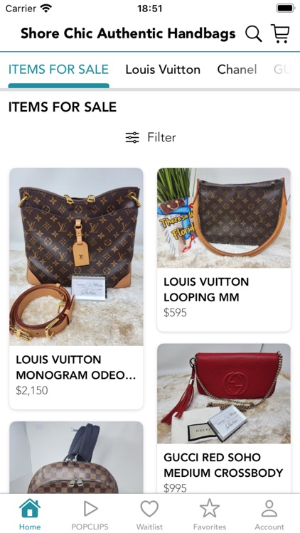 Shore Chic Authentic Handbags