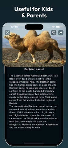 English Image Dictionary screenshot