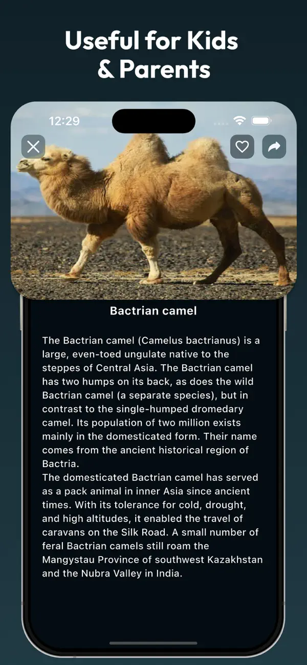 Screenshot #3 pour English Image Dictionary