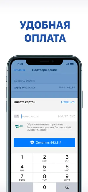 Штрафы ГАИ с фото онлайн iPhone screenshot 4