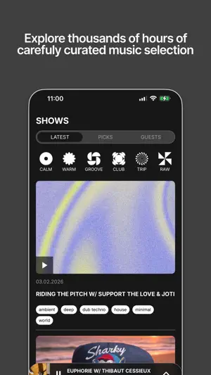 DIA! Radio screenshot 3