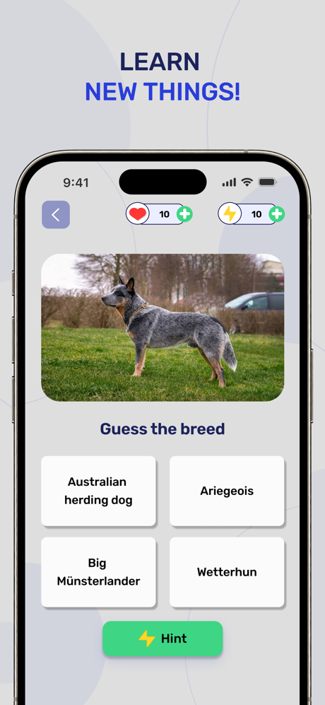 Dog Breeds - Quiz Guess Game screenshot 2