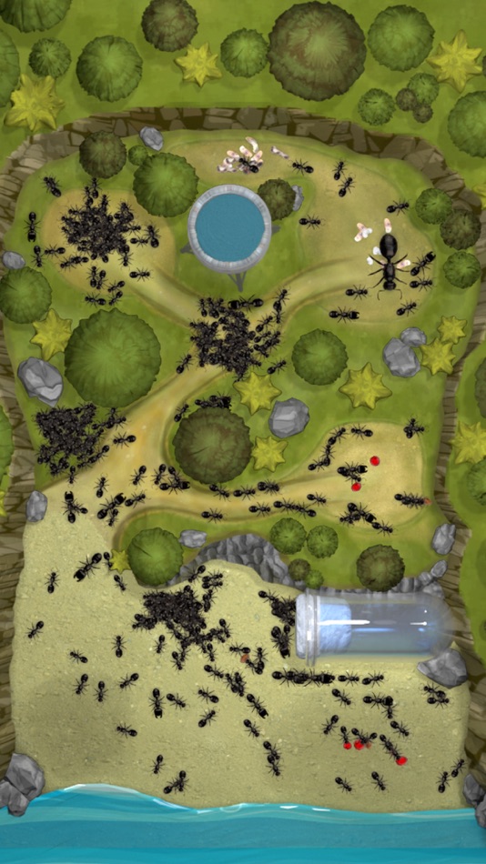 #2. Ant Farm Simulator (iOS) Podle: Dzmitry Smirnou