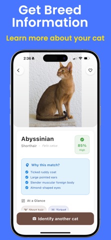 Cat Identifier. iPhone screenshot