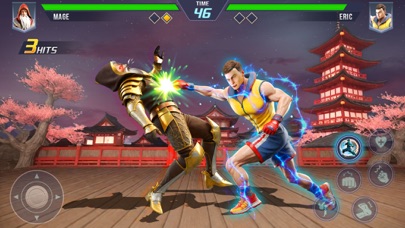 Karate Legends: Fighting Game Screenshot