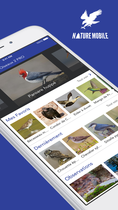 Screenshot #1 pour iKnow Birds PRO