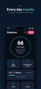 Soberise: Quit Drinking screenshot