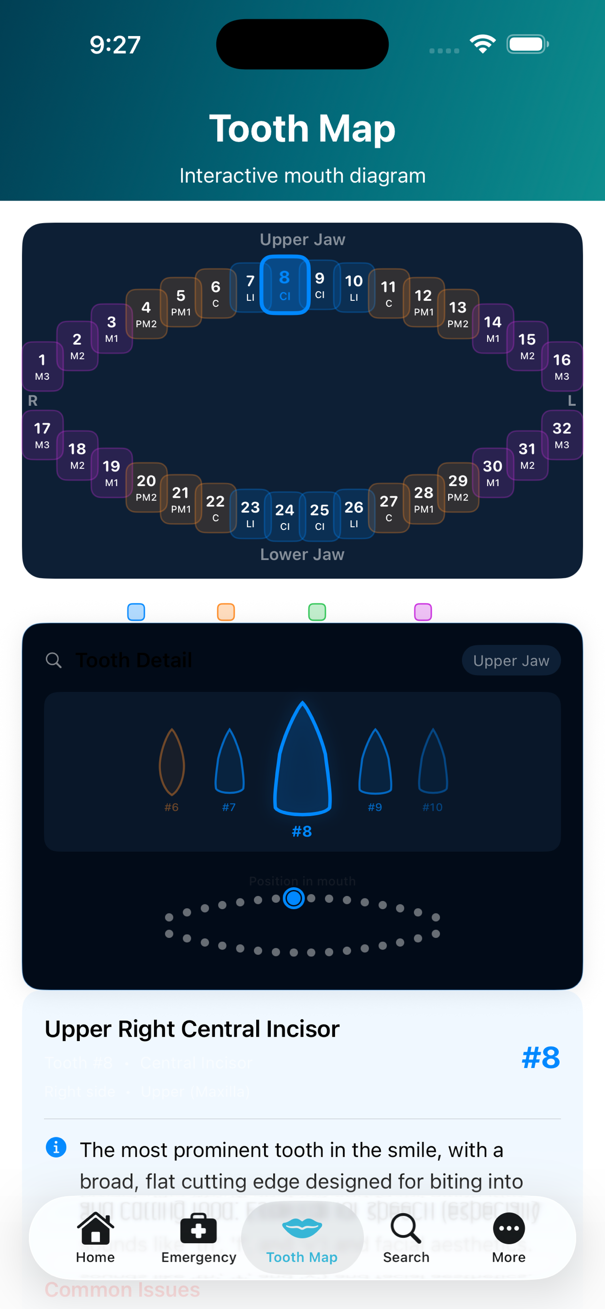 PlainDental screenshot 5