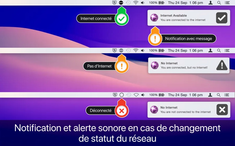 Screenshot #3 pour Internet Status : iOn