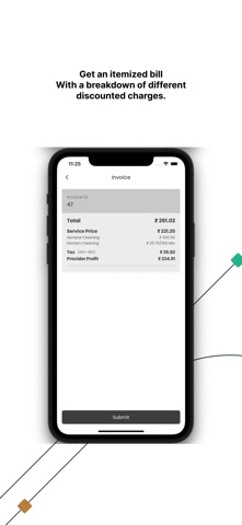 DomestiCR Pro screenshot