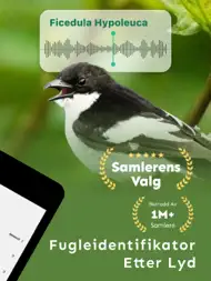 Fuglelyder – What Bird ID ipad bilder 1