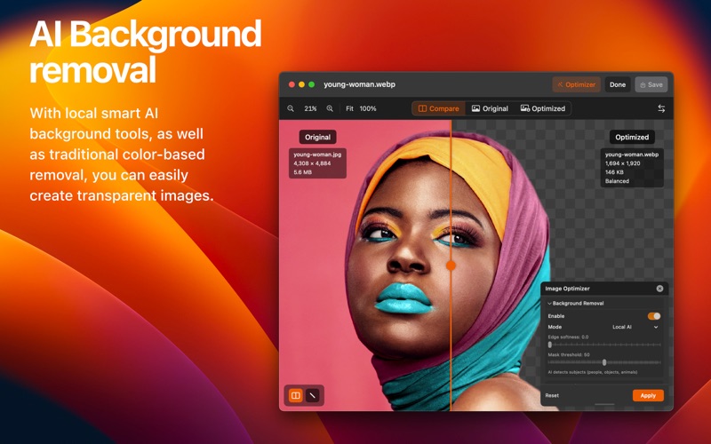 RasterFox - Image Optimizer screenshot