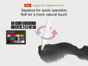zen brush 3 ipad images 2