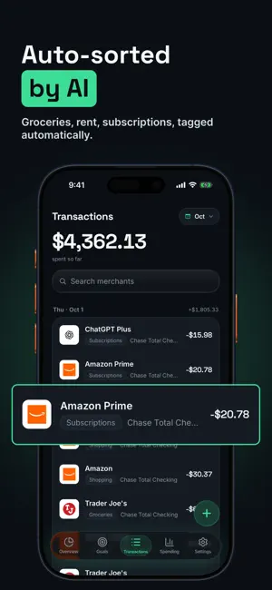 Brixa: AI Expense Tracker screenshot 2