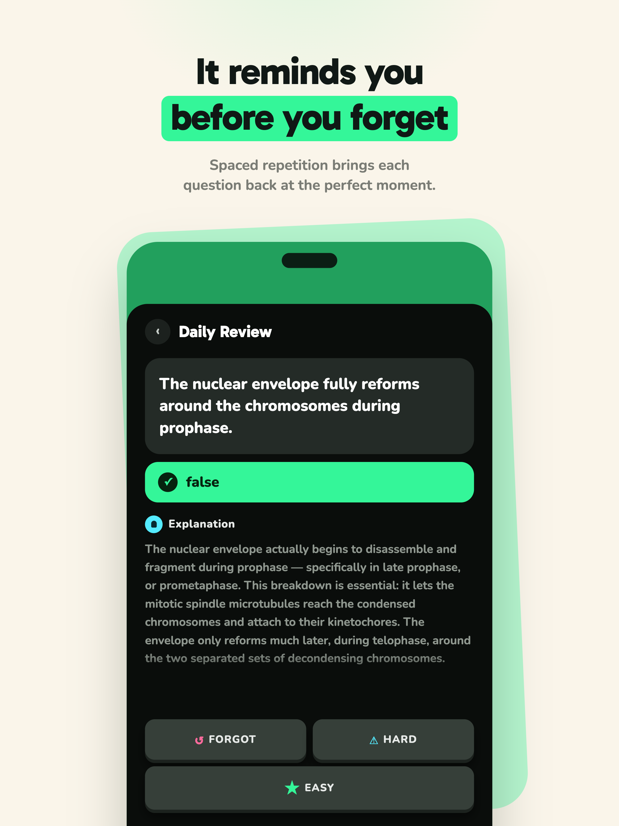 AI Practice Tests - nerzia screenshot 12