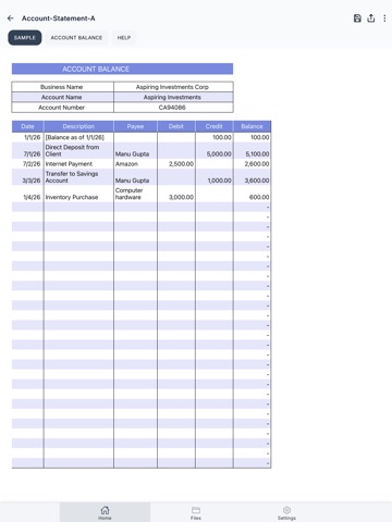 Account Statement iPad screenshot