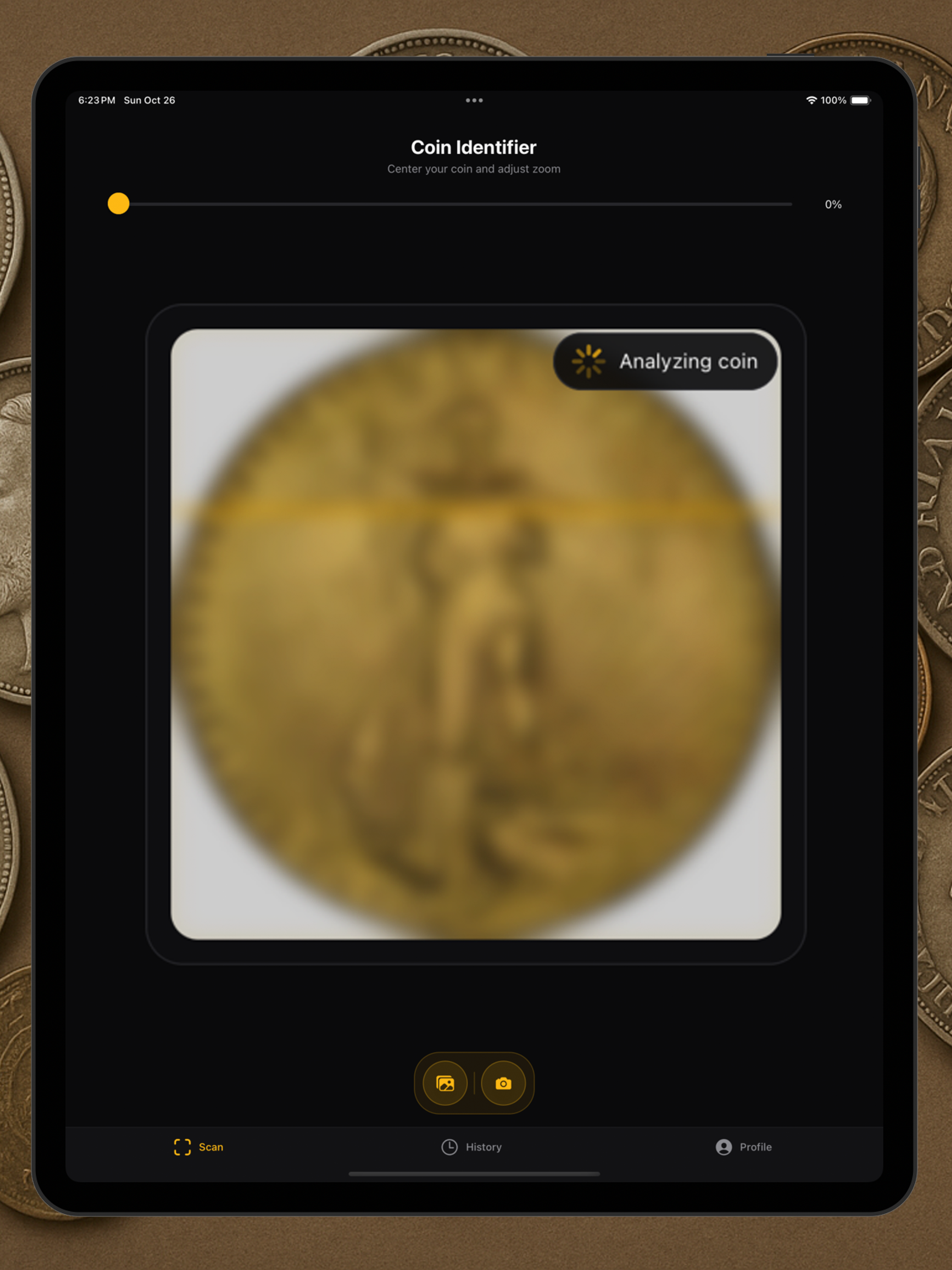 Coin Appraisal