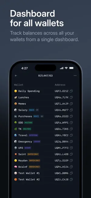 Tonkeeper Pro — Crypto Wallet screenshot 4